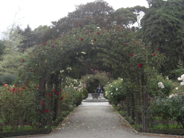 Botanic Garden  21